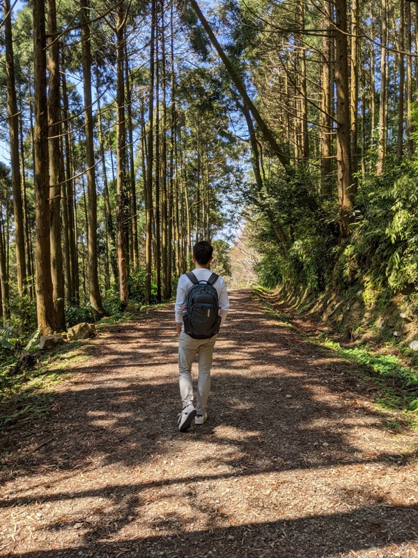 guanxi27 關西-馬武督探索森林(綠光森林) 風和日麗輕鬆走步道