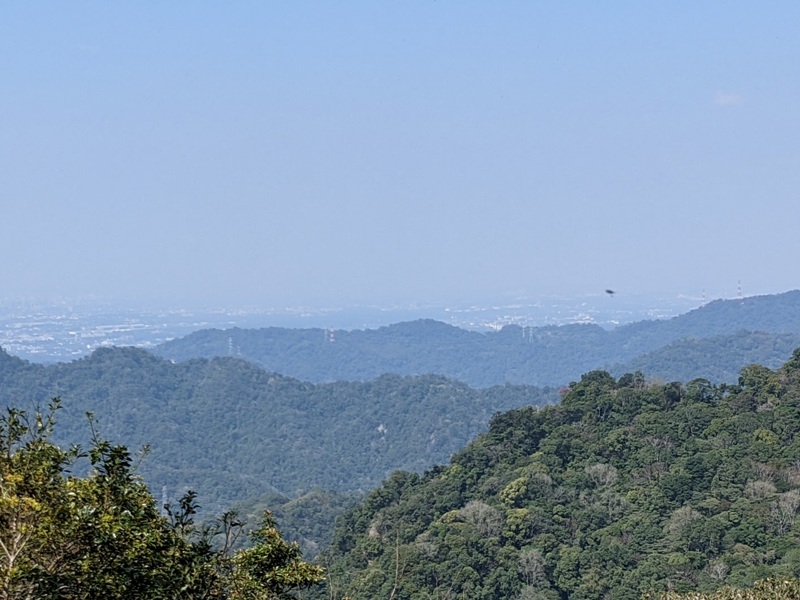 guanxi28 關西-馬武督探索森林(綠光森林) 風和日麗輕鬆走步道