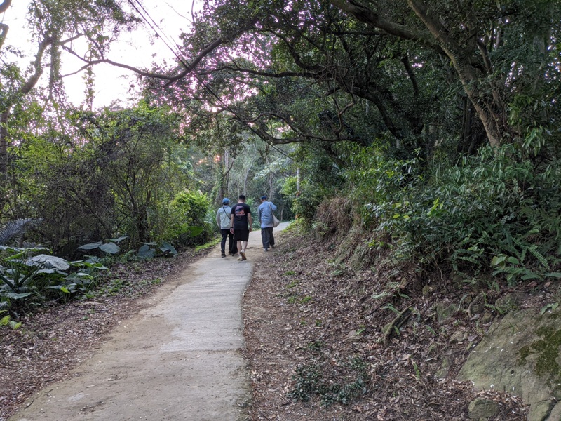 yuanmountain06 三峽-鳶山 登高望遠 擁抱最寬闊的二高景致