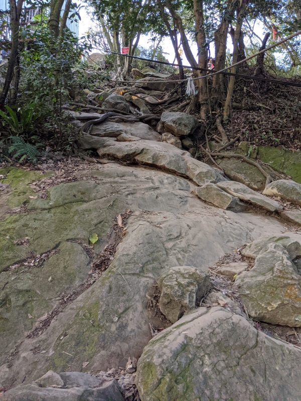 yuanmountain09 三峽-鳶山 登高望遠 擁抱最寬闊的二高景致