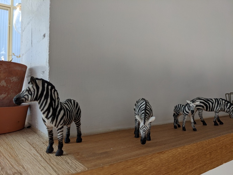 zebraapartment07 台中西區-斑馬公寓咖啡 木頭植栽玻璃屋