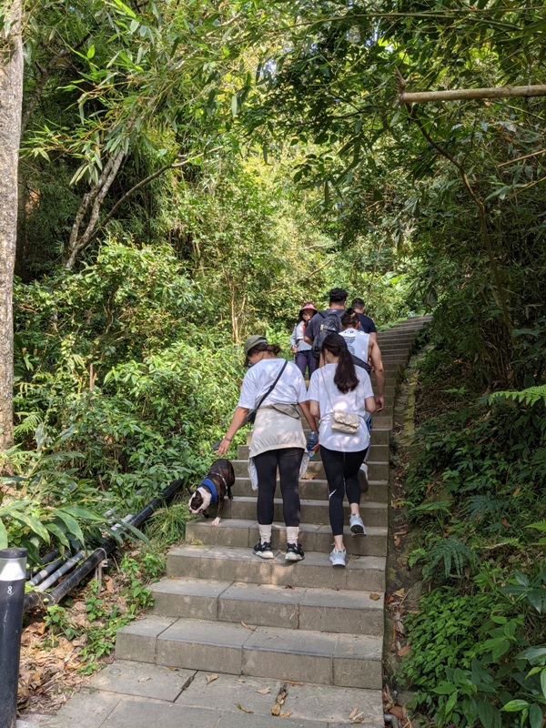 toughmanhill2203 八里-觀音山 硬漢嶺 景色開闊享受臺北盆地大屯山與台灣海峽