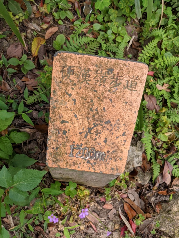 toughmanhill2208 八里-觀音山 硬漢嶺 景色開闊享受臺北盆地大屯山與台灣海峽