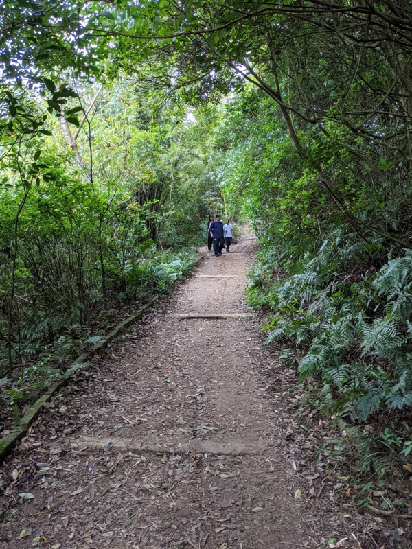 toughmanhill2223 八里-觀音山 硬漢嶺 景色開闊享受臺北盆地大屯山與台灣海峽