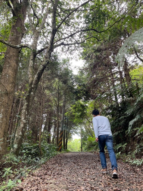xiangtienhu24103 南庄-向天湖 春遊山城 走步道賞湖景飲咖啡