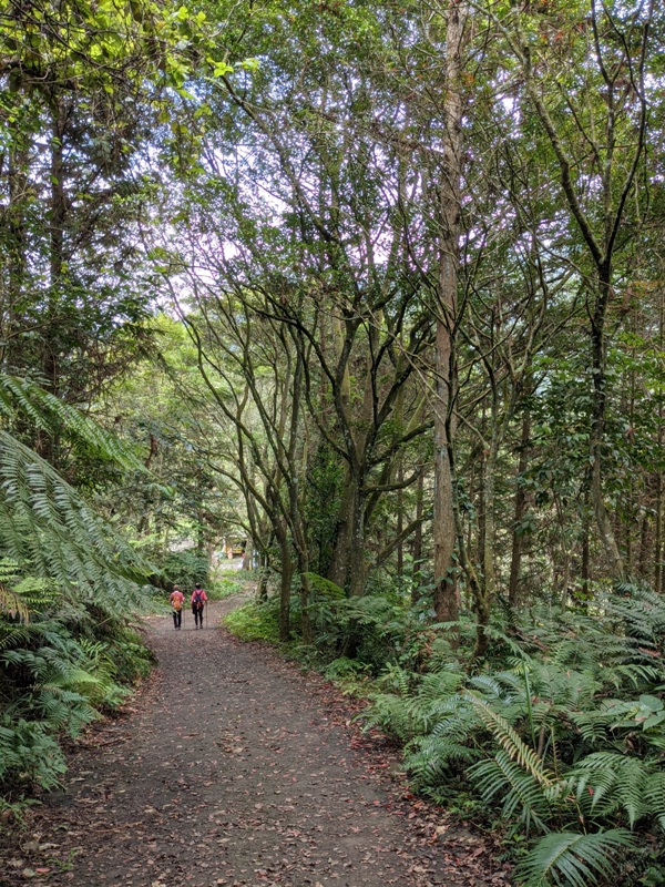 xiangtienhu24104 南庄-向天湖 春遊山城 走步道賞湖景飲咖啡
