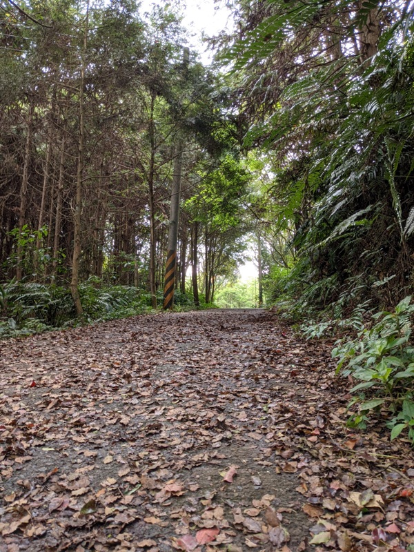 xiangtienhu24105 南庄-向天湖 春遊山城 走步道賞湖景飲咖啡