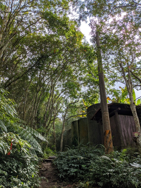 xiangtienhu24106 南庄-向天湖 春遊山城 走步道賞湖景飲咖啡
