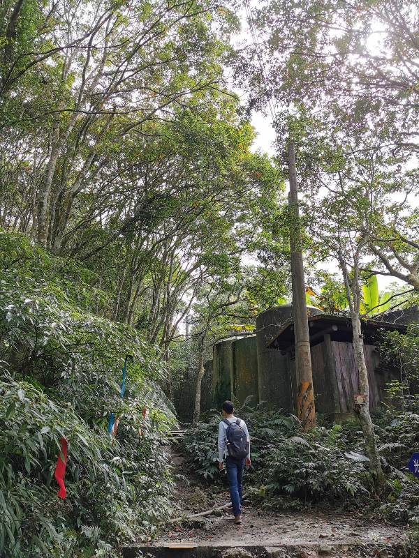 xiangtienhu24107 南庄-向天湖 春遊山城 走步道賞湖景飲咖啡