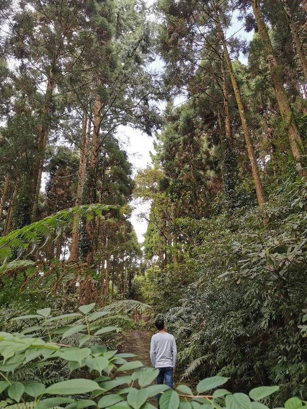 xiangtienhu24109 南庄-向天湖 春遊山城 走步道賞湖景飲咖啡