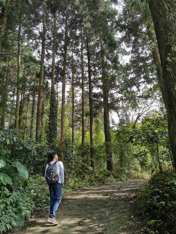 xiangtienhu24110 南庄-向天湖 春遊山城 走步道賞湖景飲咖啡