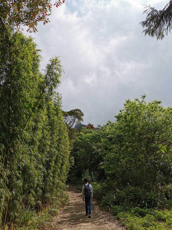xiangtienhu24112 南庄-向天湖 春遊山城 走步道賞湖景飲咖啡