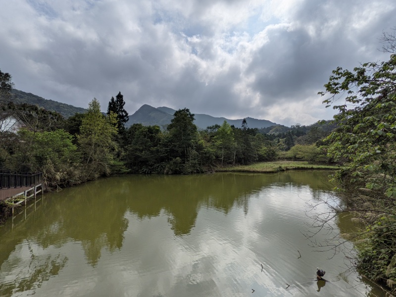 xiangtienhu24113 南庄-向天湖 春遊山城 走步道賞湖景飲咖啡