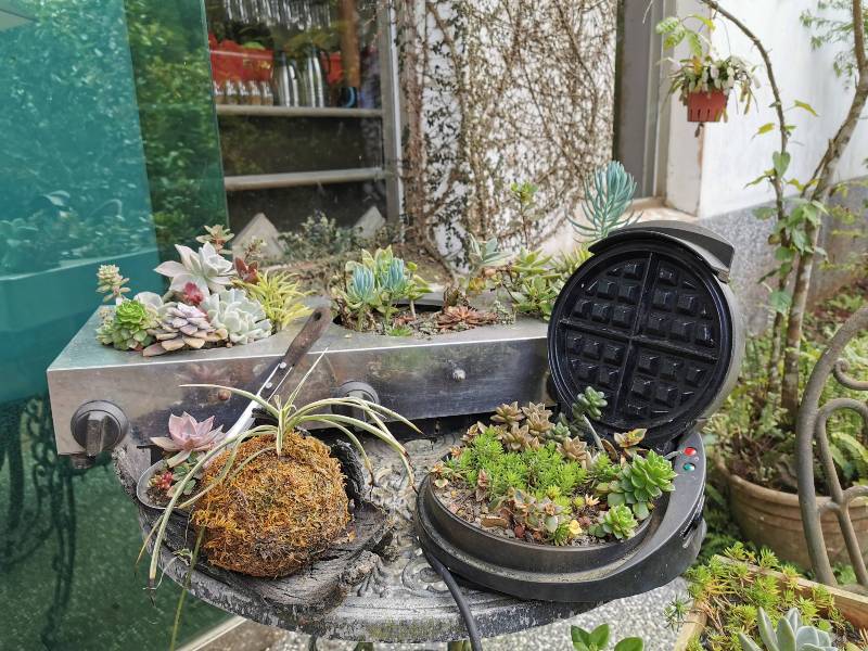 xiangtienhu24120 南庄-向天湖 春遊山城 走步道賞湖景飲咖啡