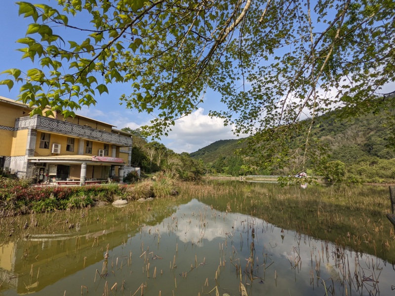 南庄-向天湖 春遊山城 走步道賞湖景飲咖啡