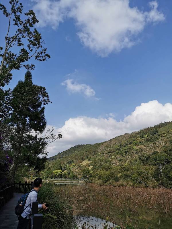 xiangtienhu24131 南庄-向天湖 春遊山城 走步道賞湖景飲咖啡