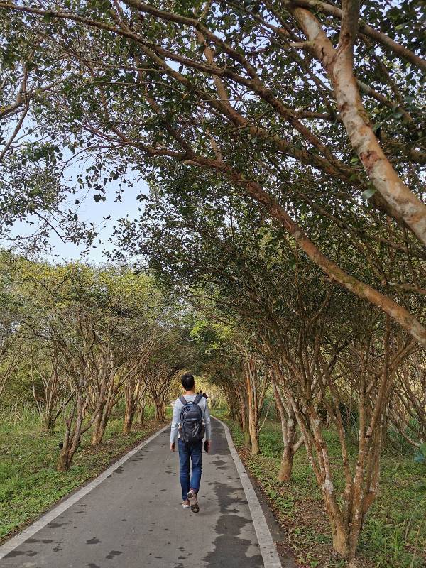 xiangtienhu24135 南庄-向天湖 春遊山城 走步道賞湖景飲咖啡