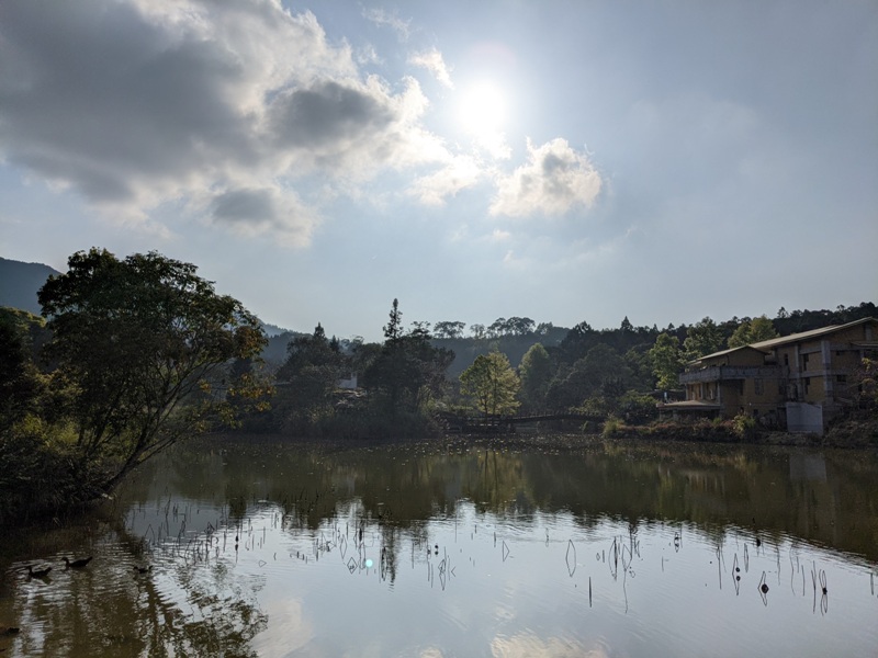 xiangtienhu24137 南庄-向天湖 春遊山城 走步道賞湖景飲咖啡