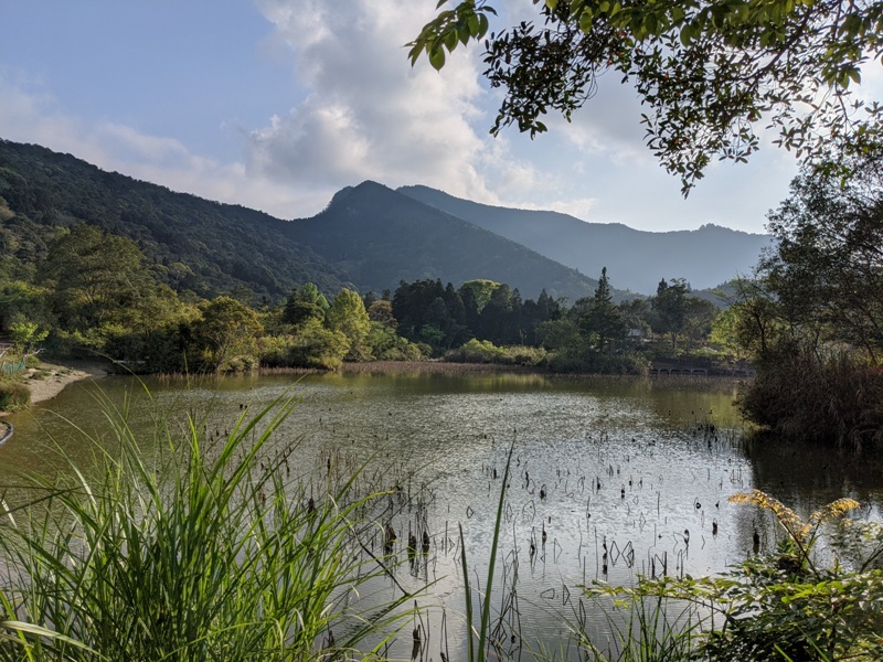 xiangtienhu24138 南庄-向天湖 春遊山城 走步道賞湖景飲咖啡