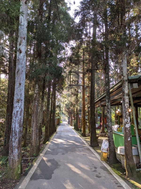 xiangtienhu24140 南庄-向天湖 春遊山城 走步道賞湖景飲咖啡