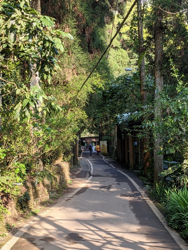 xiangtienhu24141 南庄-向天湖 春遊山城 走步道賞湖景飲咖啡