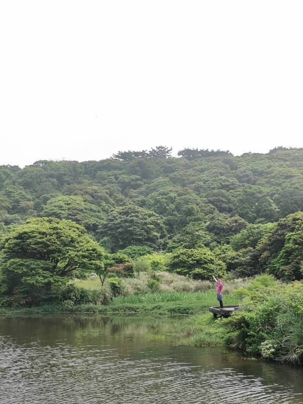 datung04 陽明山-大屯山 芒草箭竹 捕捉美麗的雲海