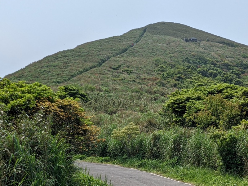 datung14 陽明山-大屯山 芒草箭竹 捕捉美麗的雲海
