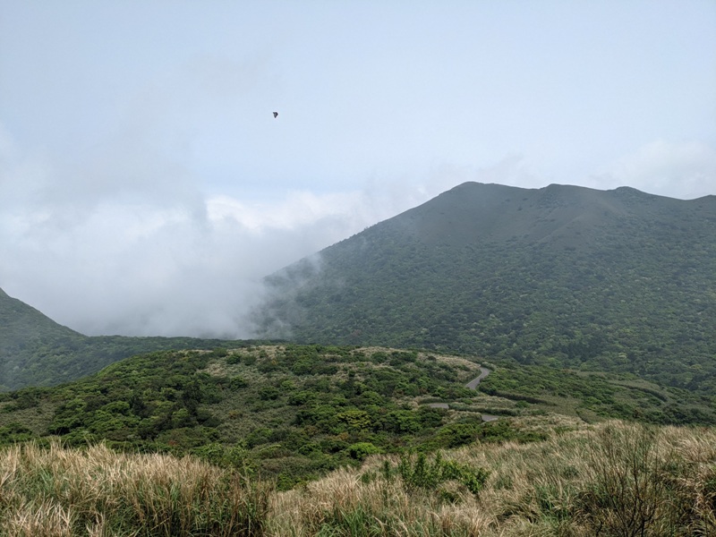 datung16 陽明山-大屯山 芒草箭竹 捕捉美麗的雲海