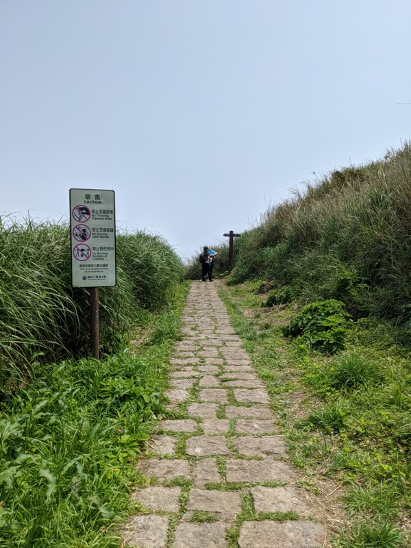 datung21 陽明山-大屯山 芒草箭竹 捕捉美麗的雲海