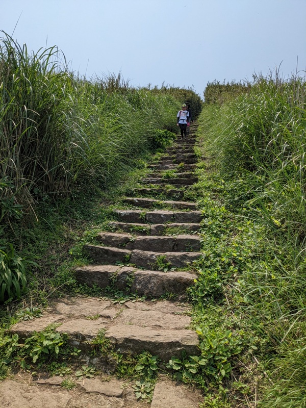 datung24 陽明山-大屯山 芒草箭竹 捕捉美麗的雲海