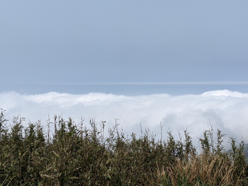 datung26 陽明山-大屯山 芒草箭竹 捕捉美麗的雲海