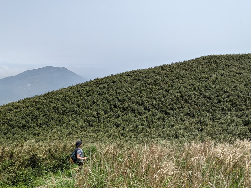 datung27 陽明山-大屯山 芒草箭竹 捕捉美麗的雲海