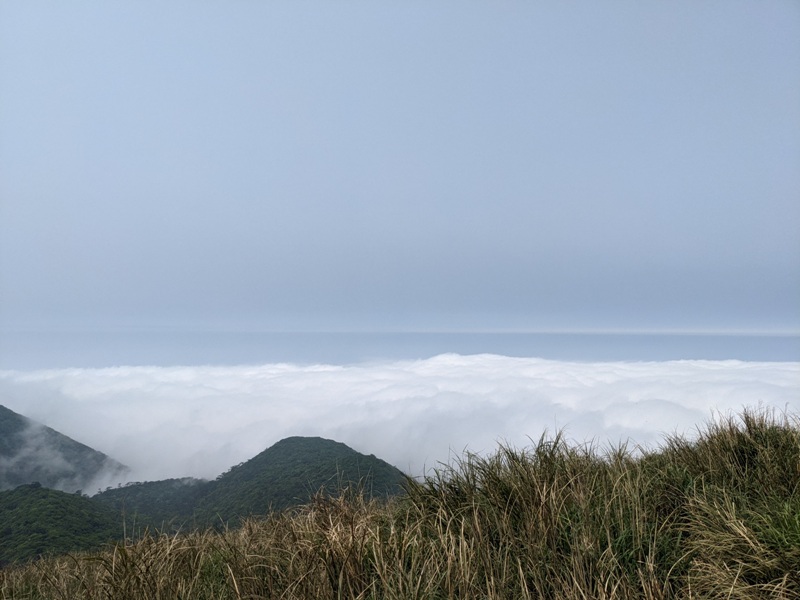 datung31 陽明山-大屯山 芒草箭竹 捕捉美麗的雲海