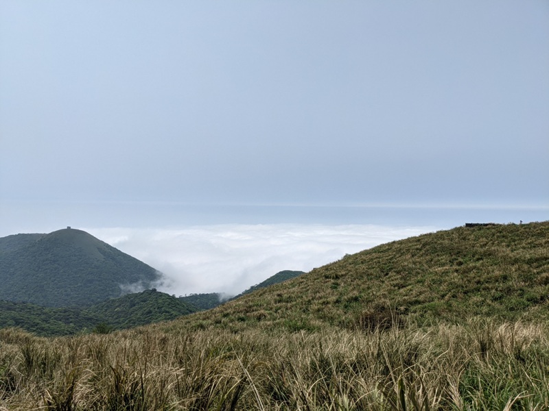 datung39 陽明山-大屯山 芒草箭竹 捕捉美麗的雲海