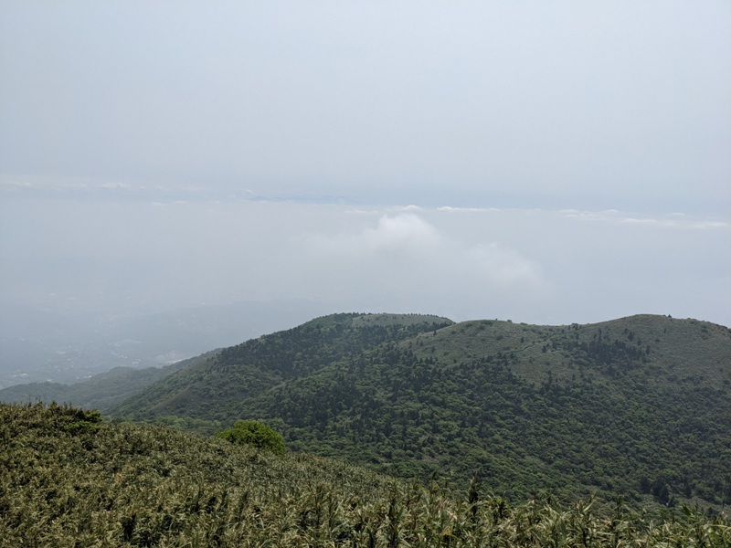 datung42 陽明山-大屯山 芒草箭竹 捕捉美麗的雲海