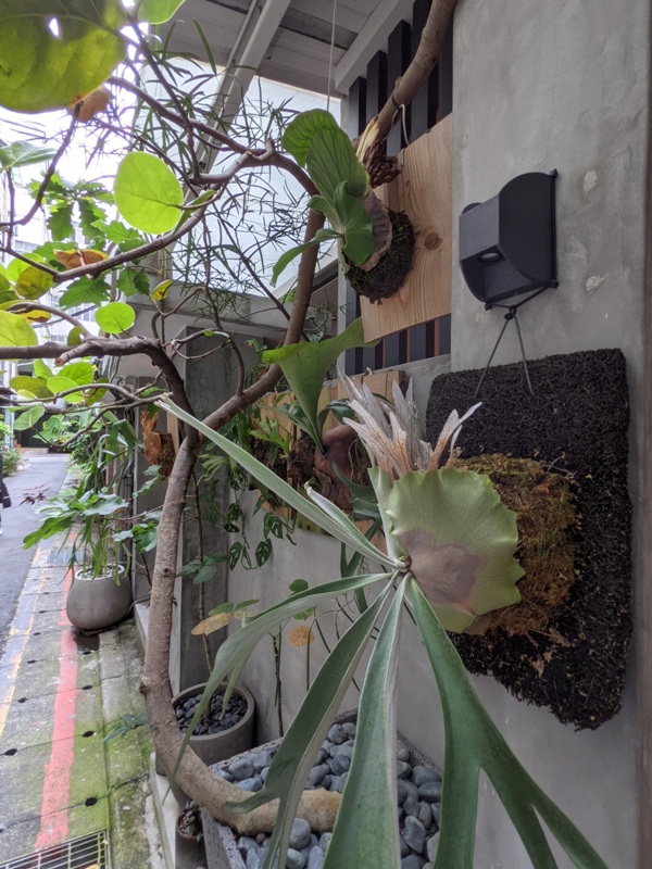 jacknnanacoffee08 大安-Jack & Nana Coffee密巷日式氣氛 手沖好好喝