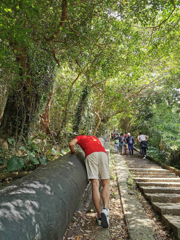士林-天母親山古道(水管道) 無緣的翠峰瀑布 士林-天母親山古道(水管道) 無緣的翠峰瀑布