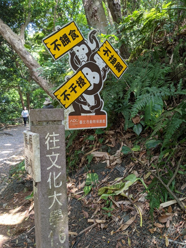 tienmutrail17 士林-天母親山古道(水管道) 無緣的翠峰瀑布