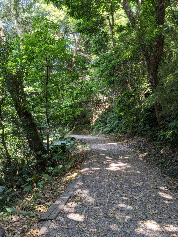 tienmutrail18 士林-天母親山古道(水管道) 無緣的翠峰瀑布