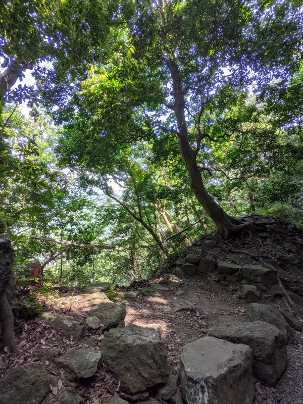 tienmutrail20 士林-天母親山古道(水管道) 無緣的翠峰瀑布