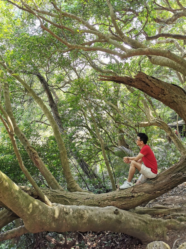 tienmutrail21 士林-天母親山古道(水管道) 無緣的翠峰瀑布