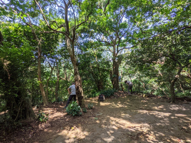 tienmutrail23 士林-天母親山古道(水管道) 無緣的翠峰瀑布