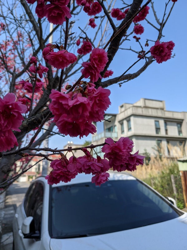 walkincafe19 林口-Walk in Cafe幽靜社區的設計咖啡館 清爽好美味