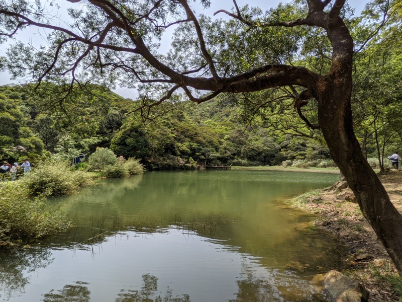xinshandreamlake06 汐止-新山夢湖 青山綠水 輕鬆登山健行拍美照