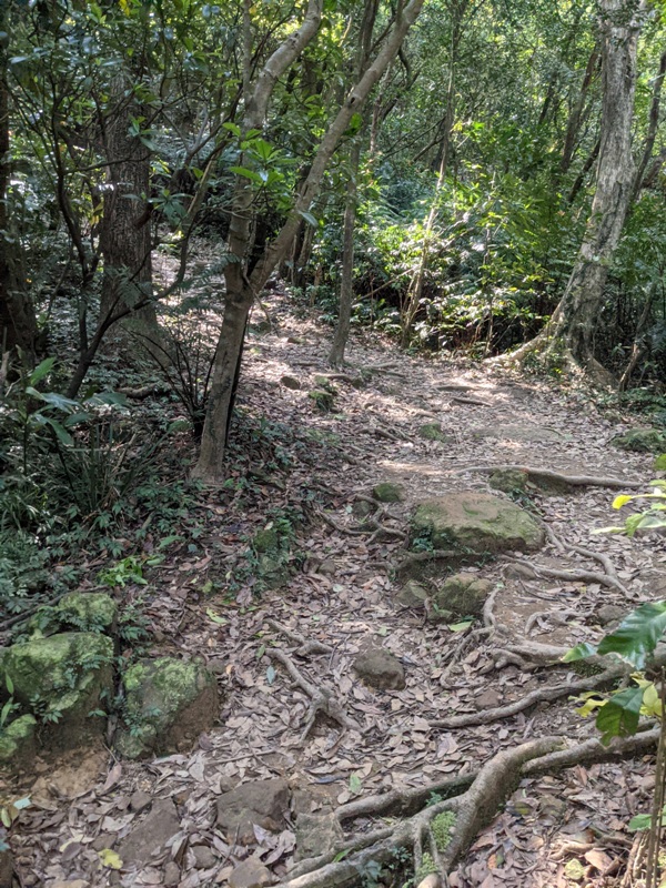 xinshandreamlake26 汐止-新山夢湖 青山綠水 輕鬆登山健行拍美照