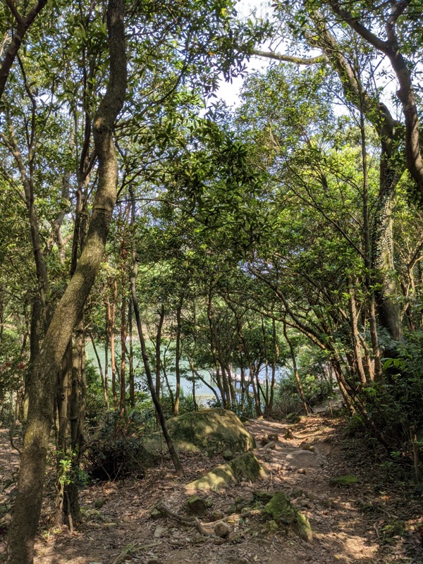 xinshandreamlake27 汐止-新山夢湖 青山綠水 輕鬆登山健行拍美照