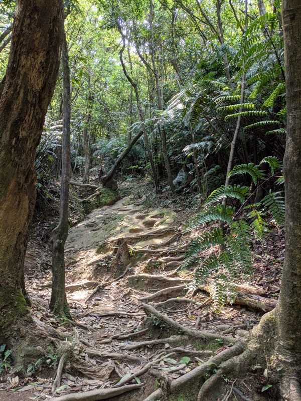 xinshandreamlake29 汐止-新山夢湖 青山綠水 輕鬆登山健行拍美照