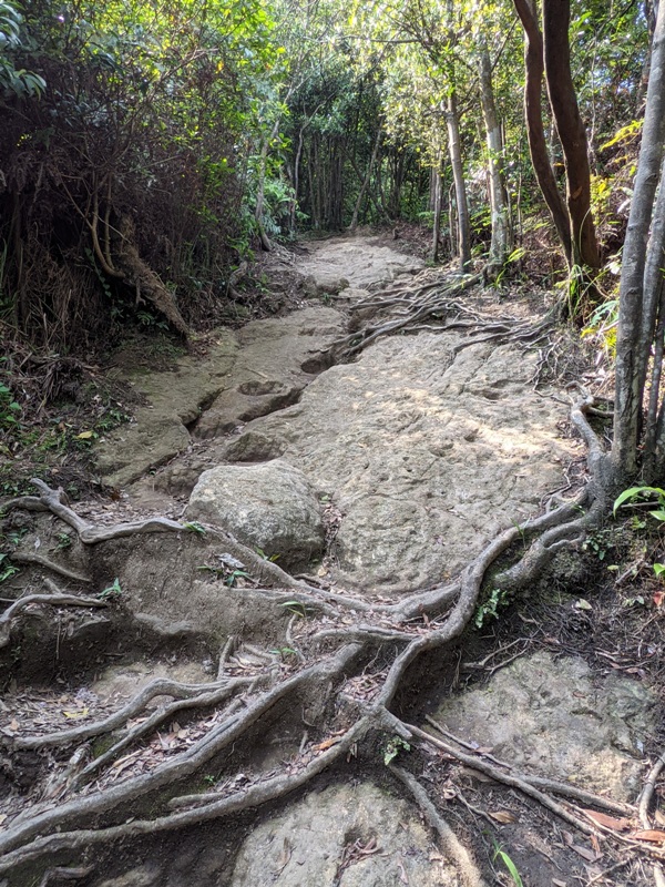 xinshandreamlake32 汐止-新山夢湖 青山綠水 輕鬆登山健行拍美照