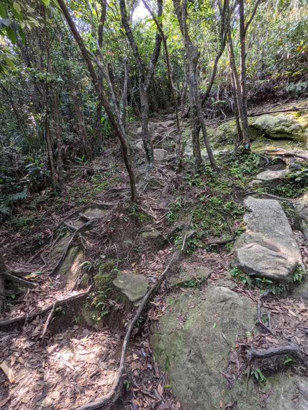 xinshandreamlake42 汐止-新山夢湖 青山綠水 輕鬆登山健行拍美照