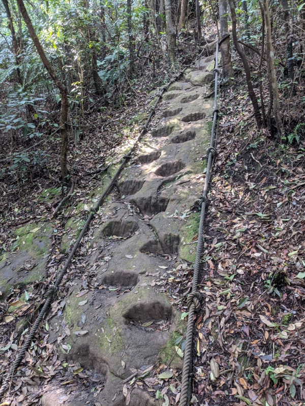 xinshandreamlake43 汐止-新山夢湖 青山綠水 輕鬆登山健行拍美照